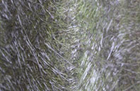 Glewstone fibreglass roof work